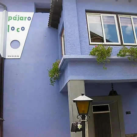 Pajaro Loco * كاستيخون ذي سوئسّي