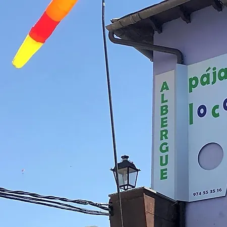 Pajaro Loco بيت شباب