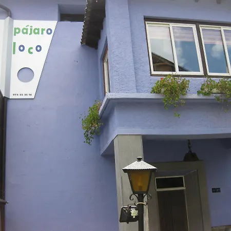 Pajaro Loco Hostel *