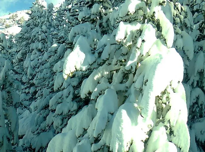 Pajaro Loco Castejón de Sos